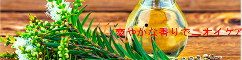 �j�I�C�P�A�����z���yindigo.C. �A���}���ϐ��z



���T�C�g